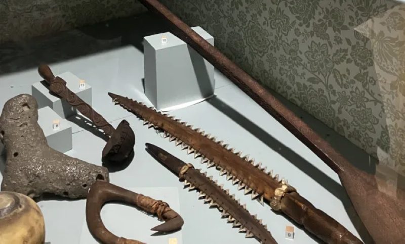 Relics of sea voyages can be found here and there throughout the Athenaeum. Here we see, among other things, a pair of shark-tooth daggers from the Gilbert Islands (now Kiribati) in the Central Pacific around 1820. Photo: David Cecelski