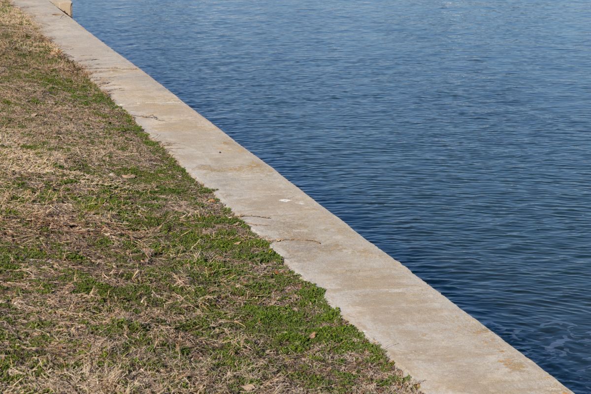 The hard line of a concrete seawall. Photo: Ava Kocher