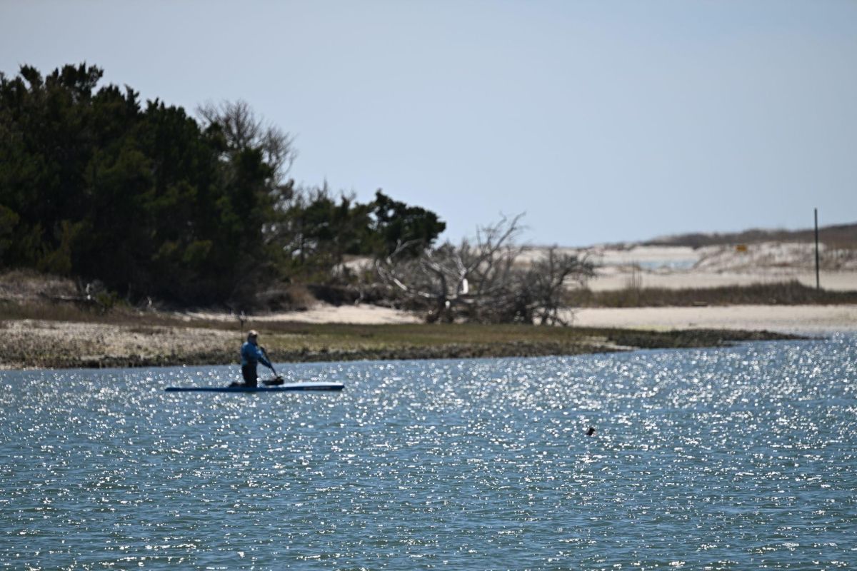Miriam Sutton paddle boards by the harbor seal in front of the Rachel Carson Reserve. Photo: Nick Kaney