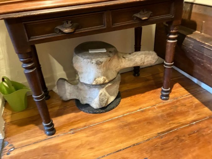 Beneath a table holding a ship model, I stumbled on a pair of whale vertebrae, the gift, according to the Athenaeum’s records, of “Captain Ray of Nantucket” in 1824. Photo: David Cecelski