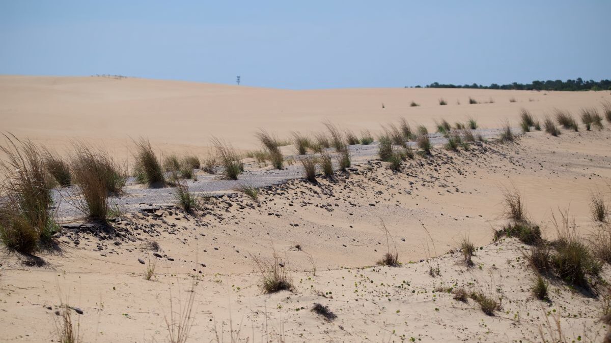 Head to the north out of the parking lot and up one of the steepest dunes in the 426-acre Jockey’s Ridge State Park in Dare County, Photo: Kip Tabb