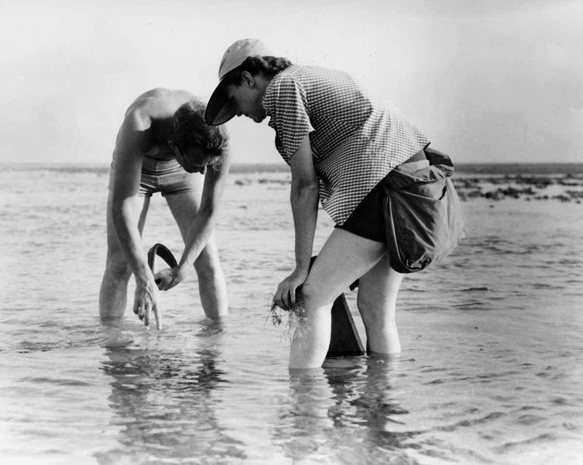 Rachel Carson, right, and U.S. Fish and Wildlife Service artist Bob Hines wade somewhere along the East Coast in 1952. Photo: U.S. Fish and Wildlife Service
