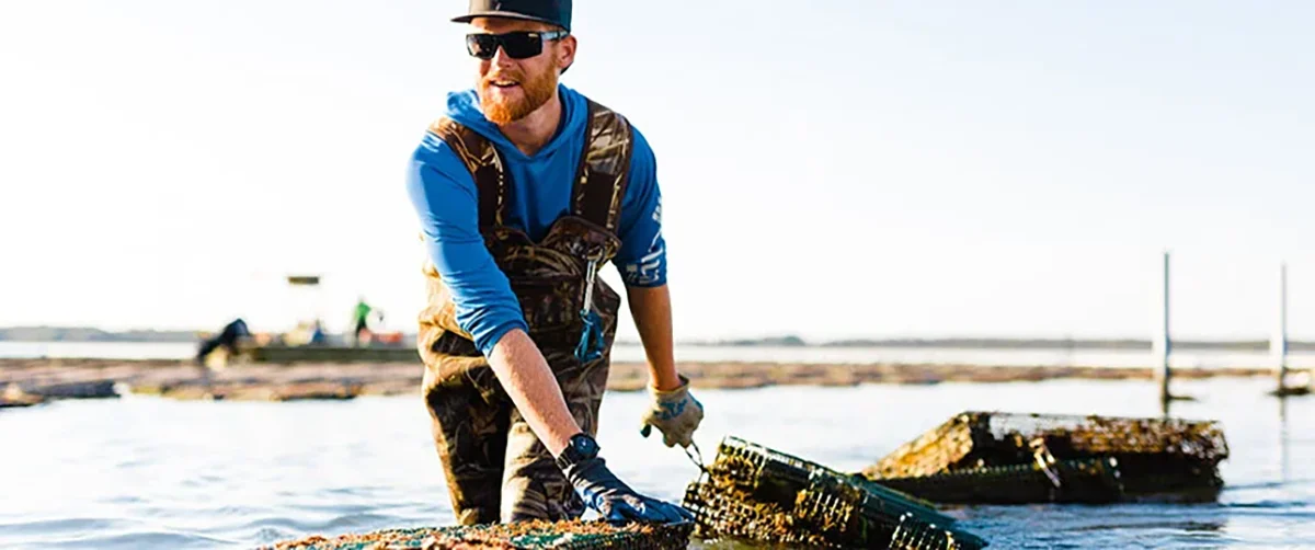 Aquaculture is the farming and husbandry of aquatic organisms, such as growing seafood or ornamental specimens for commercial sale, environmental enhancement, research or education. Photo: Carteret Community College