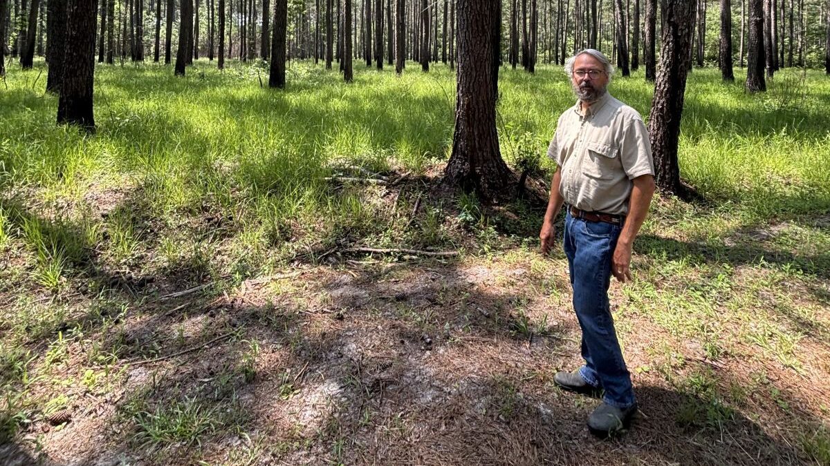 Clint North of Pender County is one of only three property owners in the state to register 1,000 acres or more with North Carolina’s Natural Heritage Program. Photo: Trista Talton