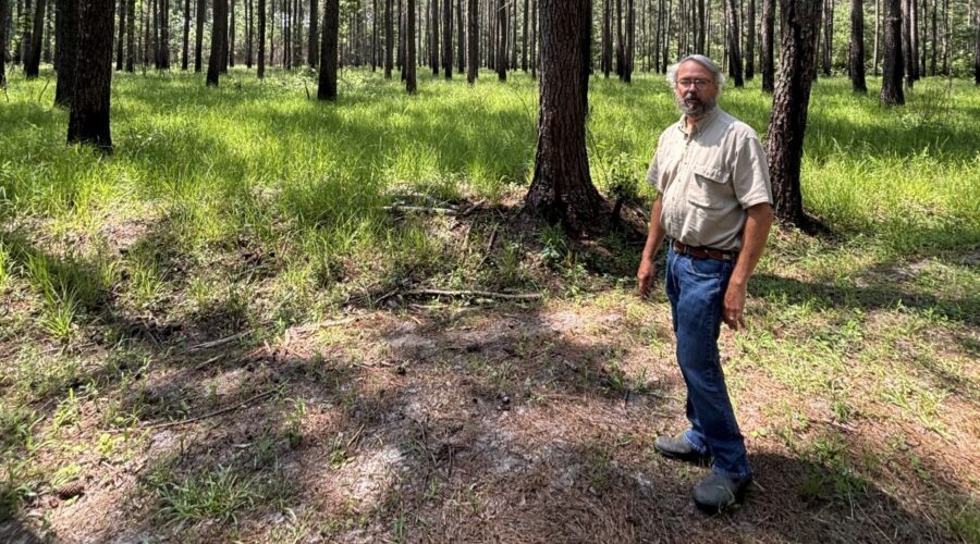 Clint North of Pender County is one of only three property owners in the state to register 1,000 acres or more with North Carolina’s Natural Heritage Program. Photo: Trista Talton