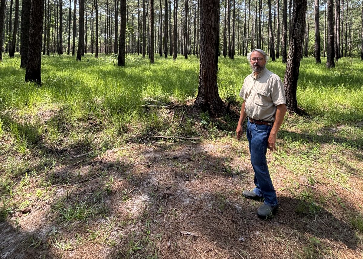 Clint North of Pender County is one of only three property owners in the state to register 1,000 acres or more with North Carolina’s Natural Heritage Program. Photo: Trista Talton