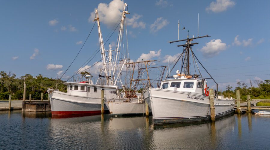 Commercial fishing vessels are shown docked recently at the Harkers Island Harbor of Refuge on Harkers Island in Carteret County. Photo: Dylan Ray