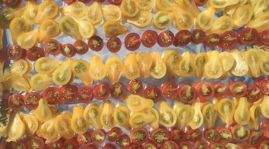 Drying cherry and pear tomatoes like these can be a colorful experience. Photo: Heidi Skinner