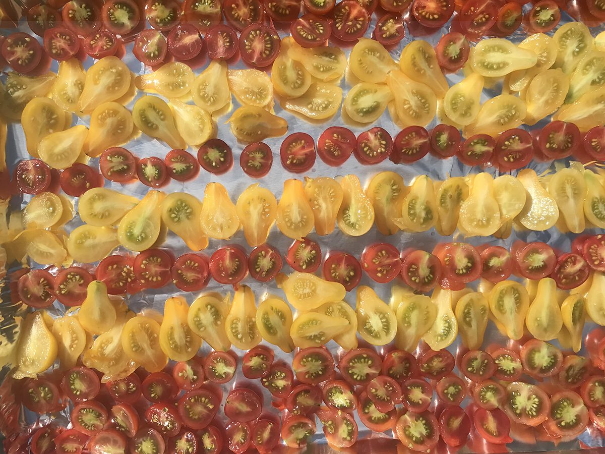 Drying cherry and pear tomatoes like these can be a colorful experience. Photo: Heidi Skinner