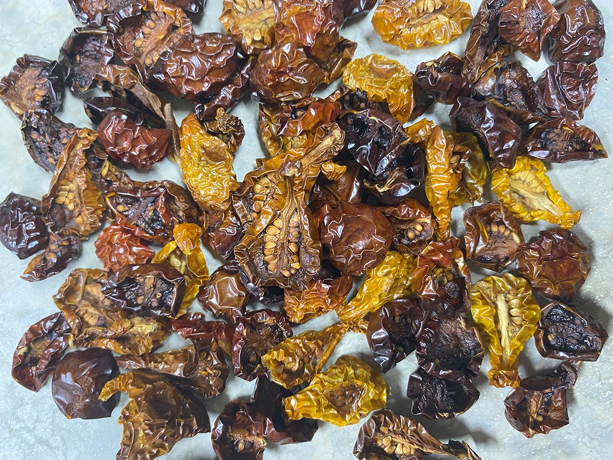 The finished product looks more like raisins than dried tomatoes, but they are oh, so yummy. Dried tomatoes can be used in a variety of ways from bread and crackers to pasta dishes, providing an incredible burst of flavor. Photo: Heidi Skinner