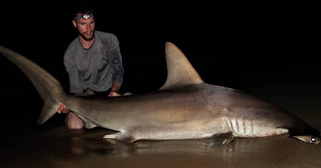Owen Mulvey is an expert on big shark matters. Photo courtesy of Owen Mulvey