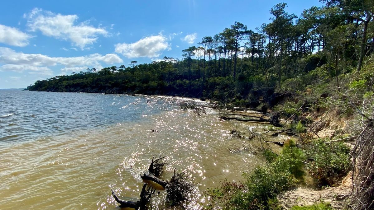 View of shoreline erosion at Fort Raleigh National Historic Site. Photo: National Park Service