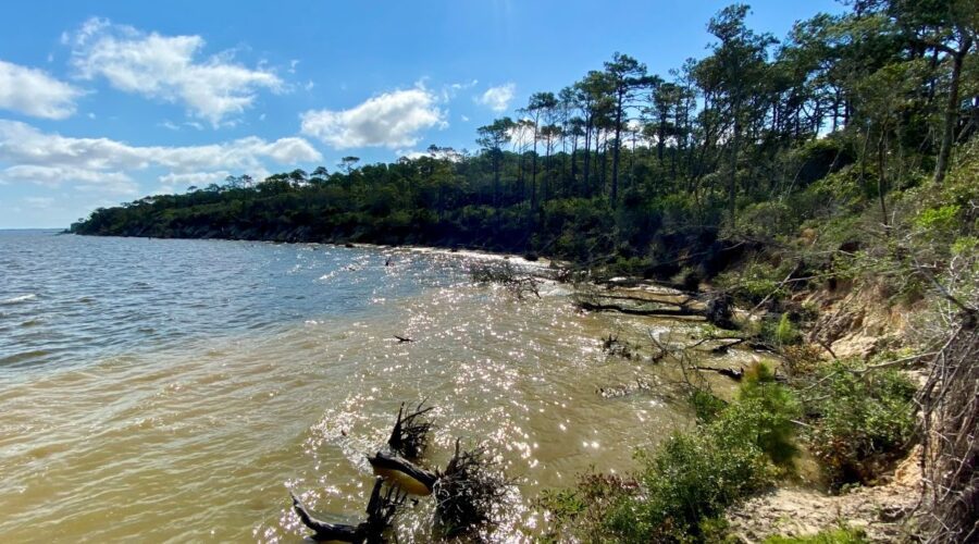 View of shoreline erosion at Fort Raleigh National Historic Site. Photo: National Park Service