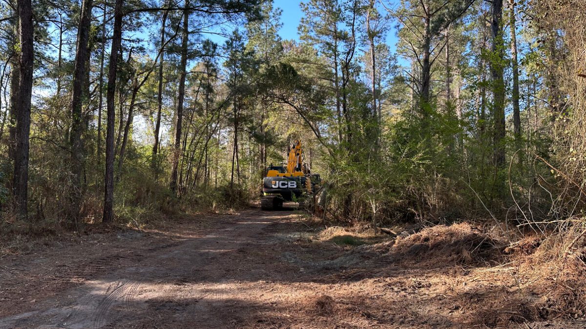 An excavator heads into a wooded area of the former Kerr-McGee Chemical Corp. site in Navassa. Photo: Greenfield Environmental Multistate Trust LLC