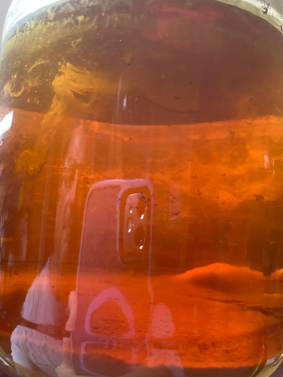 Here's my homemade apple cider vinegar experiment, forming its very own symbiotic culture of bacteria and yeast, or SCOBY. Photo: Heidi Skinner