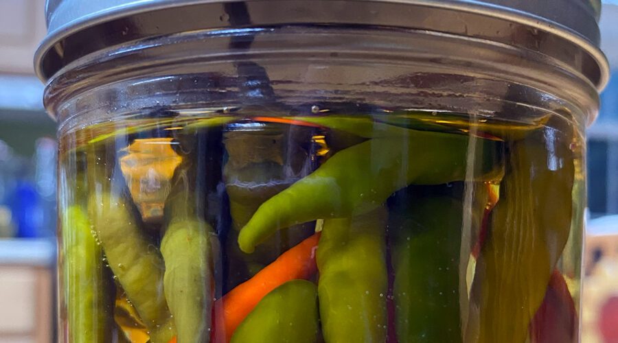Homemade hot pepper vinegar is a coastal North Carolina staple paired with collards and fish. Photo: Heidi Skinner