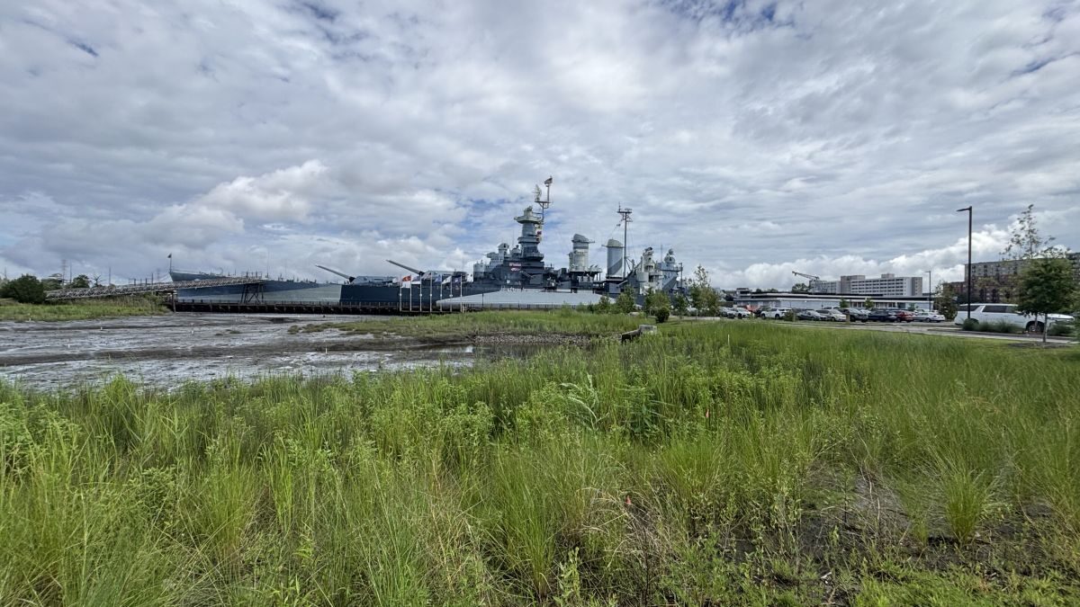A wetland and tidal creek have replaced an area that was once parking next to the USS Battleship North Carolina in Wilmington. Photo: Trista Talton