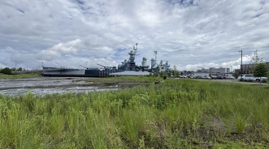 A wetland and tidal creek have replaced an area that was once parking next to the USS Battleship North Carolina in Wilmington. Photo: Trista Talton