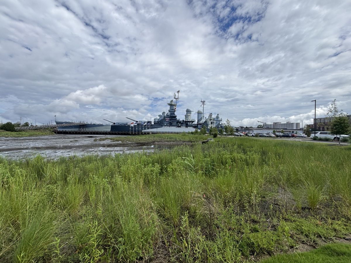 A wetland and tidal creek have replaced an area that was once parking next to the USS Battleship North Carolina in Wilmington. Photo: Trista Talton