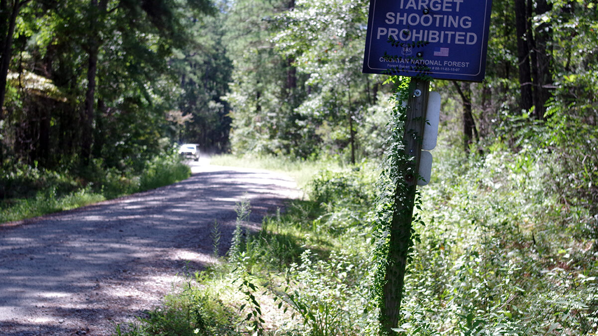 A gravel road leads to the Oyster Point campsites and Neusiok/Mountains-to-the-Sea Trail in the eastern part of the Croatan National Forest near Newport. The Forest Service is proposing to scrap a rule barring road construction in roadless areas of the National Forest System. Photo: Mark Hibbs