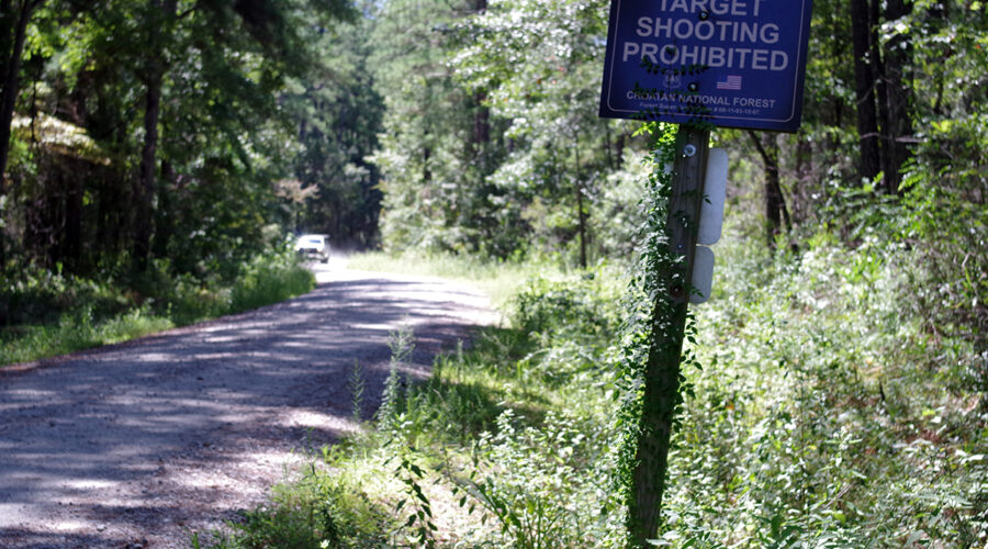 A gravel road leads to the Oyster Point campsites and Neusiok/Mountains-to-the-Sea Trail in the eastern part of the Croatan National Forest near Newport. The Forest Service is proposing to scrap a rule barring road construction in roadless areas of the National Forest System. Photo: Mark Hibbs