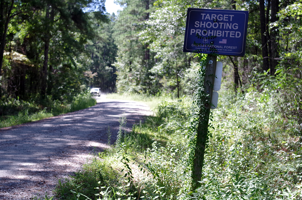 A gravel road leads to the Oyster Point campsites and Neusiok/Mountains-to-the-Sea Trail in the eastern part of the Croatan National Forest near Newport. The Forest Service is proposing to scrap a rule barring road construction in roadless areas of the National Forest System. Photo: Mark Hibbs