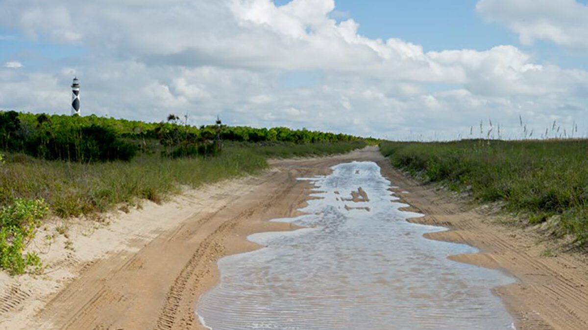 Standing water remains on the road near the Cape Lookout Lighthouse Friday. Photo: NPS