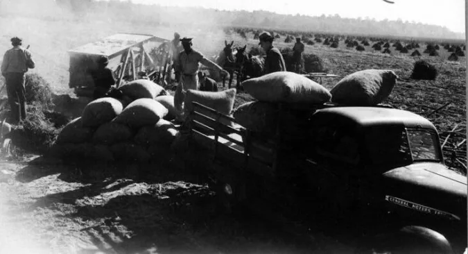 Near Edenton, N.C., 1941. Photo courtesy, State Archives of North Carolina