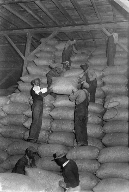 Edenton, N.C., probably 1942. Photo courtesy, State Archives of North Carolina