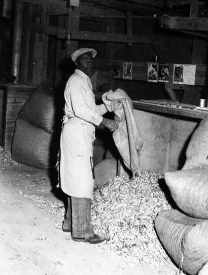 Edenton, N.C., 1941. Photo courtesy, State Archives of North Carolina