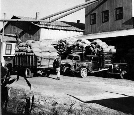 Edenton, N.C., 1941. Photo courtesy, State Archives of North Carolina