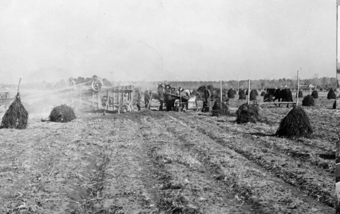 Near Edenton, N.C., December 1938. Photo by Bill Sharpe. Courtesy, State Archives of North Carolina