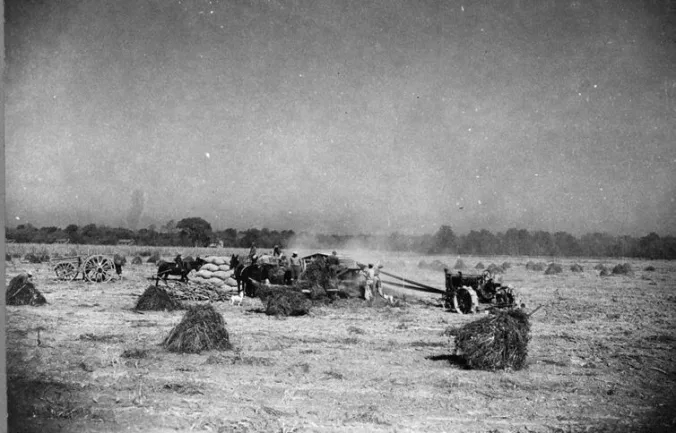 Near Edenton, N.C., 1941. Photo courtesy, State Archives of North Carolina