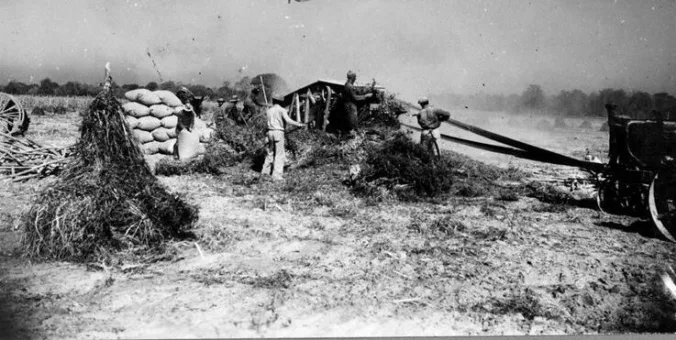 Near Edenton, N.C., 1941. Photo courtesy, State Archives of North Carolina