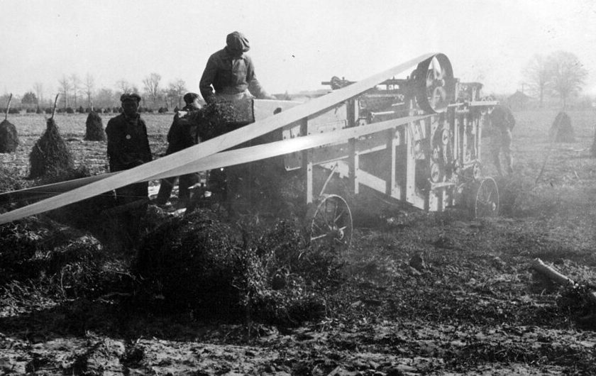 Near Edenton, N.C., Dec. 1938. Photo by Bill Sharpe. Photo courtesy, State Archives of North Carolina