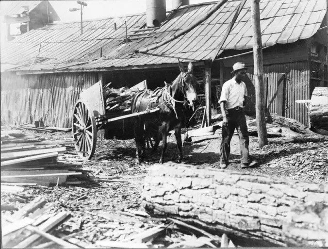 Courtesy, State Archives of North Carolina
