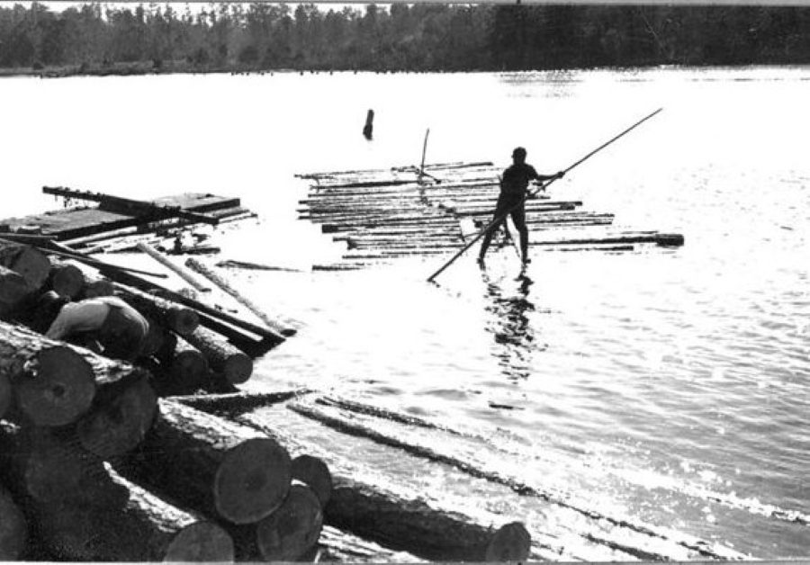 Rafting logs on the Pungo River, November 1939. Photo courtesy, State Archives of North Carolina