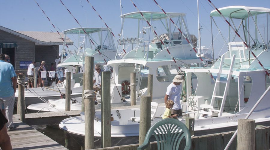 Attendees peruse the fleet during a previous Hatteras Village Day at the Docks. Photo: Contributed