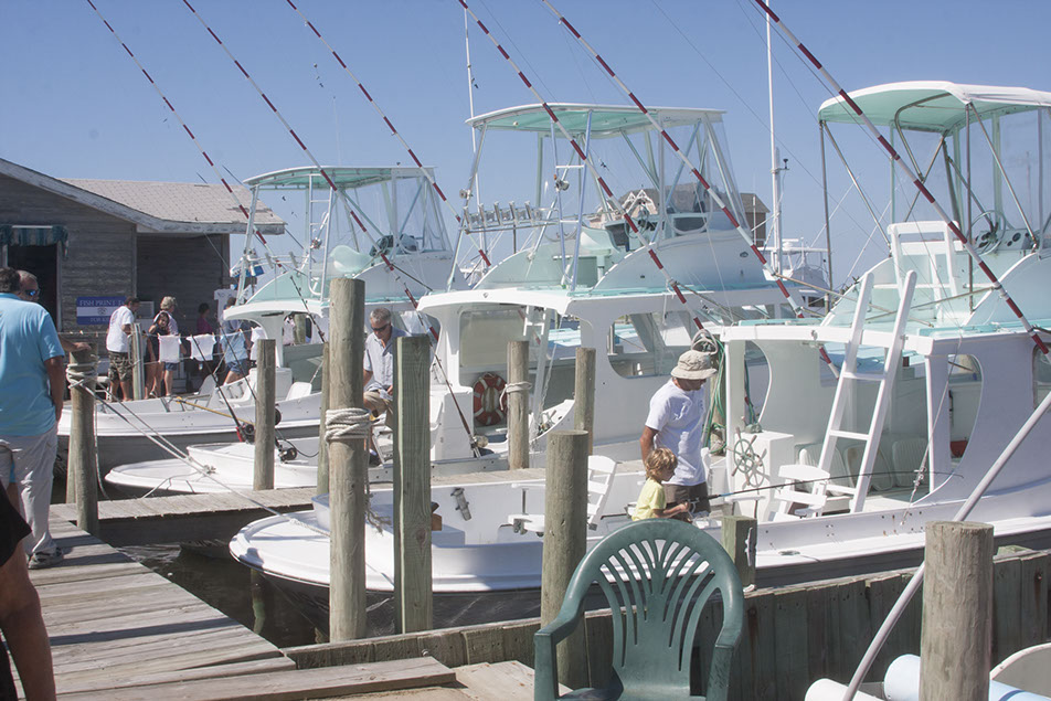 Attendees peruse the fleet during a previous Hatteras Village Day at the Docks. Photo: Contributed