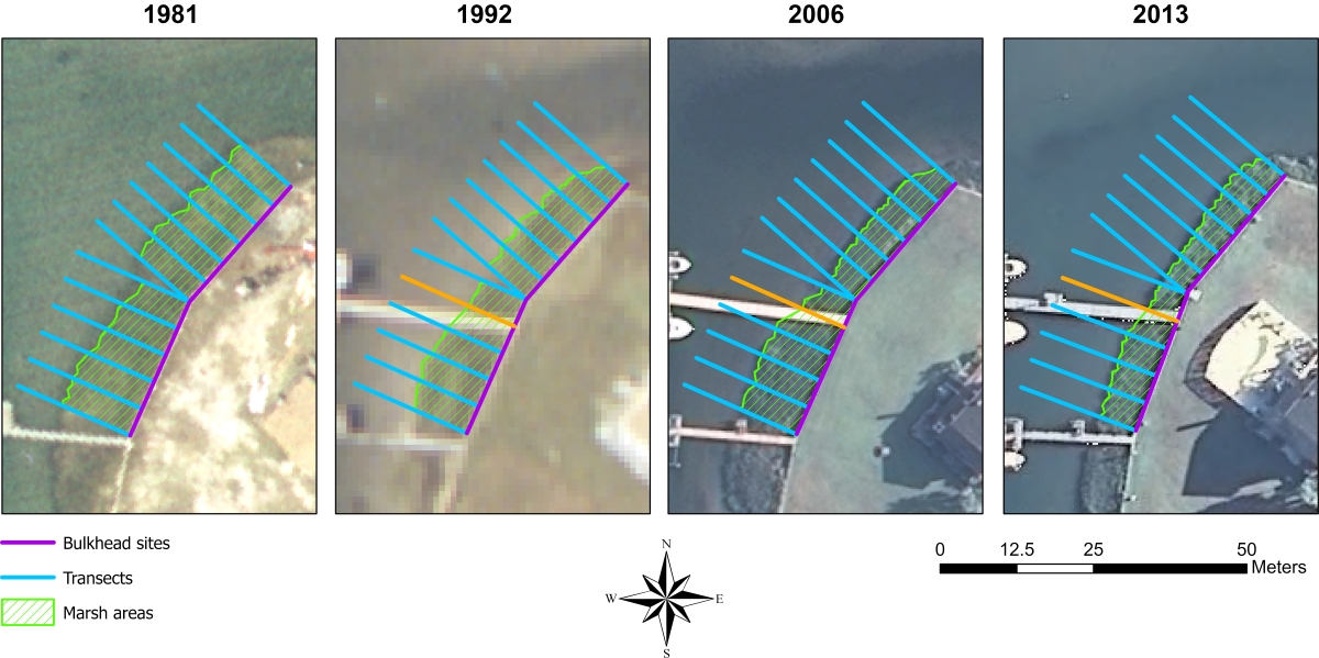 Graphic from the study shows a time series of two bulkhead sites illustrating shoreline erosion.