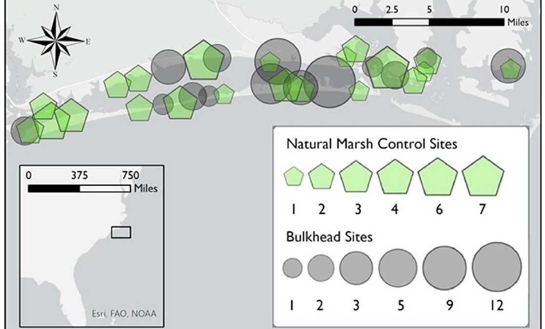Map of the study area, including Bogue Sound, Back Sound, Newport River, and North River in Carteret County, North Carolina. Symbols represent location and concentration of natural marsh controls and bulkhead sites.