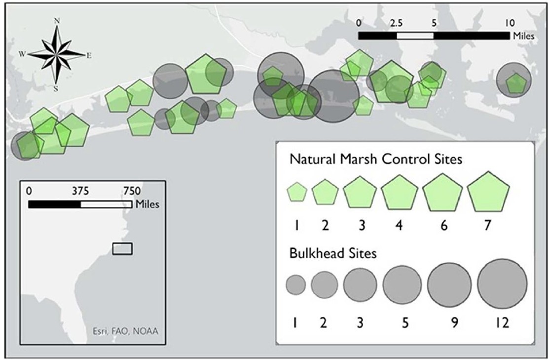 Map of the study area, including Bogue Sound, Back Sound, Newport River, and North River in Carteret County, North Carolina. Symbols represent
location and concentration of natural marsh controls and bulkhead sites.