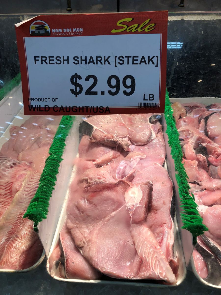 "Fresh Shark (Steak)" on display at a grocery store. Photo: UNC