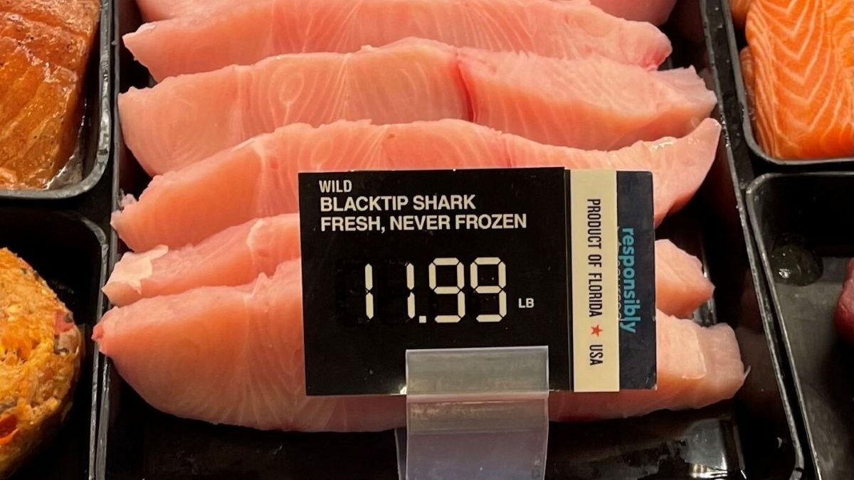 Researchers for a UNC Chapel Hill study found that this meat was mislabeled as "wild blacktip shark" at a grocery store. Photo: UNC