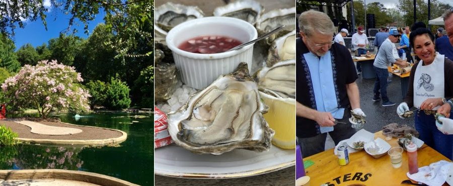 From left, the New Hanover County Arboretum, where A Roast for the Coast is being held Oct. 24, oysters on the half shell, and attendees shuck their own oysters at a past roast. Collage: N.C. Coastal Federation