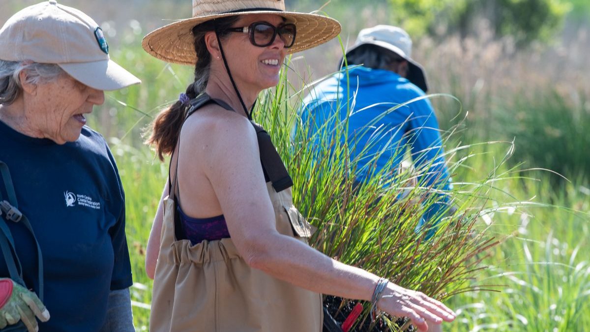 Volunteers plan native vegetation earlier this year as part of an ongoing wetland restoration project in Carolina Beach State Park. Photo: Alan Cradick