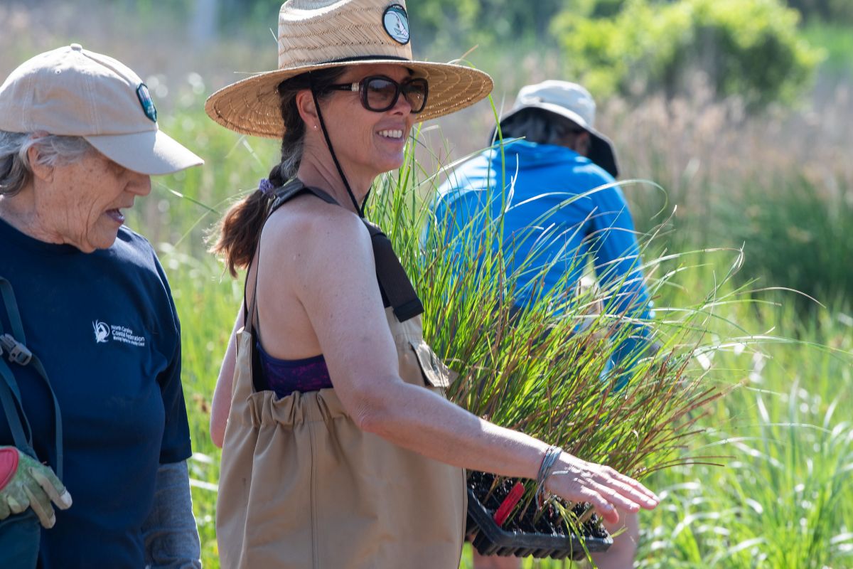 Volunteers plan native vegetation earlier this year as part of an ongoing wetland restoration project in Carolina Beach State Park. Photo: Alan Cradick