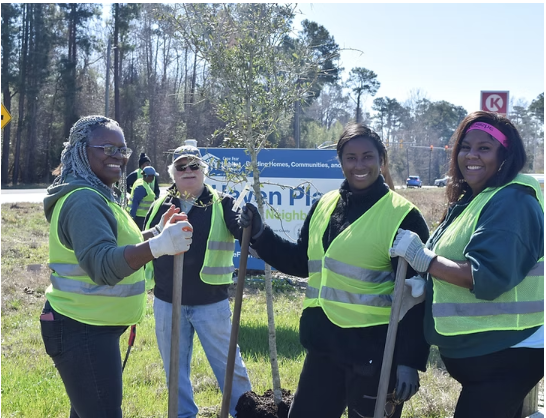 Alliance for Cape Fear Trees, a Wilmington-based nonprofit, aims to preserve, protect, and plant trees throughout the Lower Cape Fear region. Photo: Alliance for Cape Fear Trees