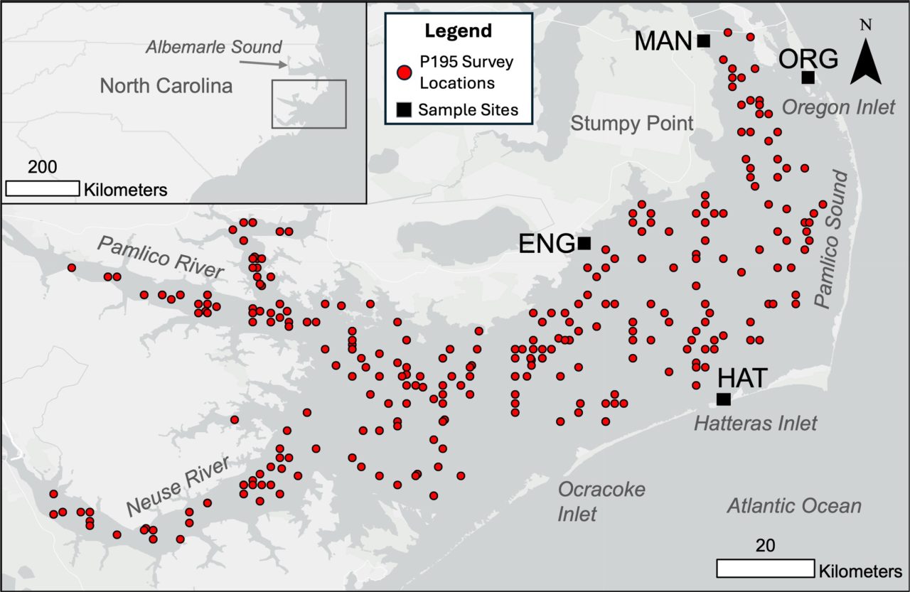 The map of the Albemarle–Pamlico–Estuarine System included in the study. Black squares represent the sampling locations. 