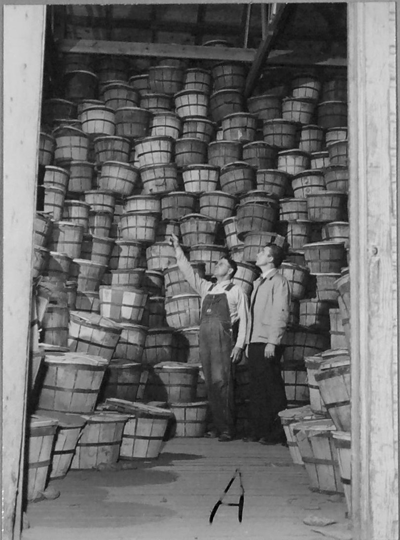 Photo courtesy, State Archives of North Carolina
